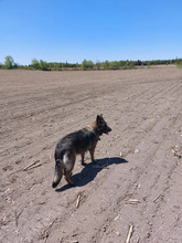 Additional image 4 of 752500 Ida St