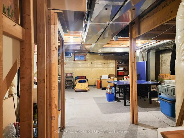 Additional image 28 of 35 Goldthread Terr