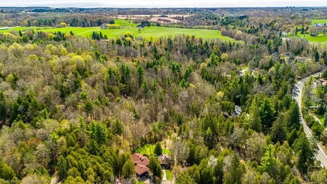 Additional image 40 of 6099 Cedar Grove