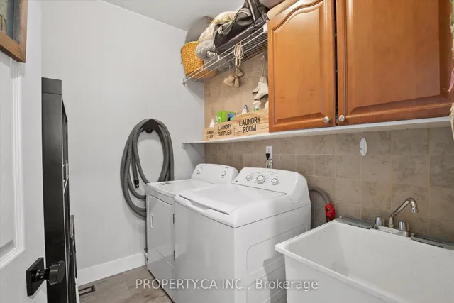 Additional image 38 of 80 Spotted Owl Cres