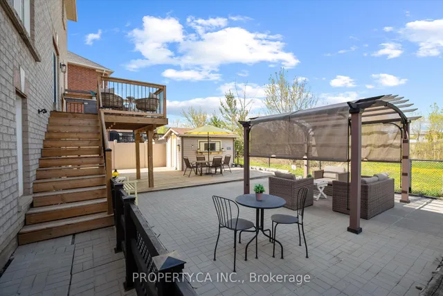 Additional image 42 of 80 Spotted Owl Cres