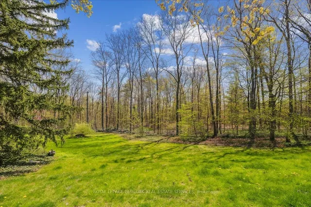 Additional image 40 of 1314 Fairway Crt