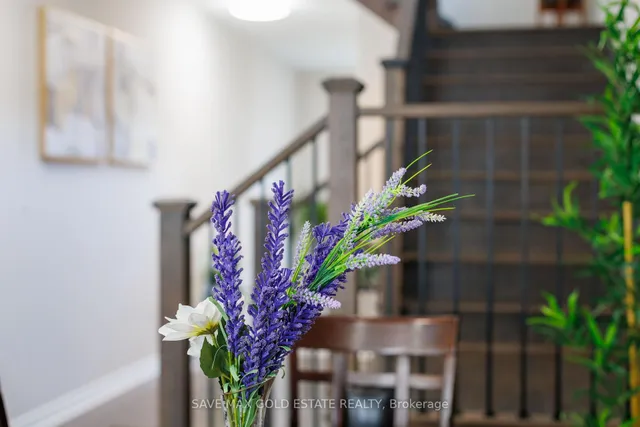 Additional image 17 of 1659 Whitlock Ave