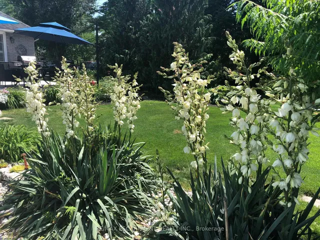 Additional image 37 of 27 Gladiola Dr