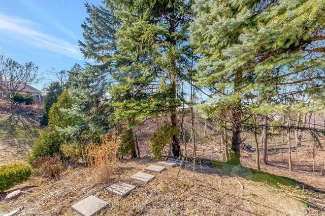 Additional image 35 of 24 Trevor Dr