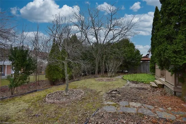 Additional image 41 of 35 Daffodil Cres