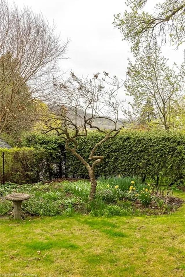 Additional image 47 of 101 Head St