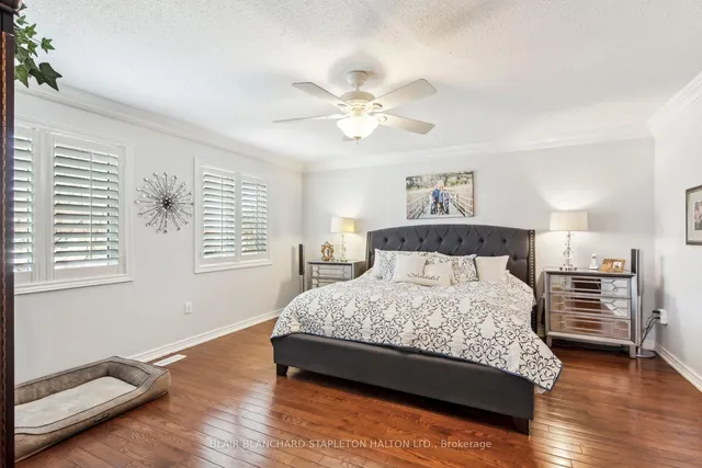 Additional image 23 of 4228 Amaletta Cres