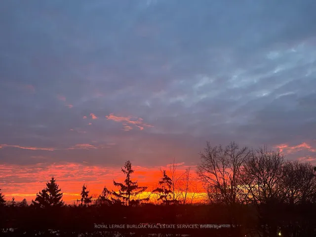 Additional image 26 of 700 Dynes Rd Unit 409