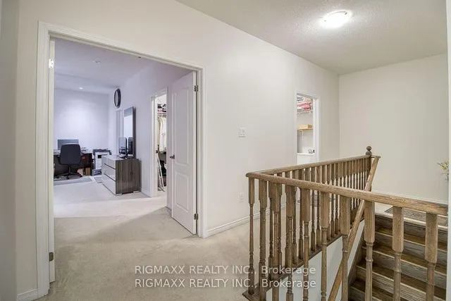 Additional image 16 of 22 Iguana Tr