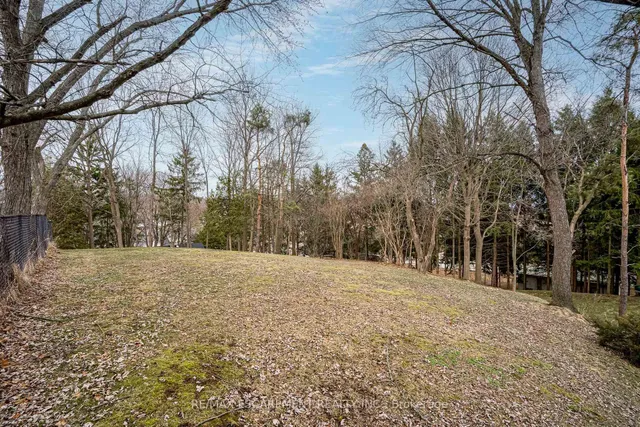 Additional image 39 of 558 Governors Rd