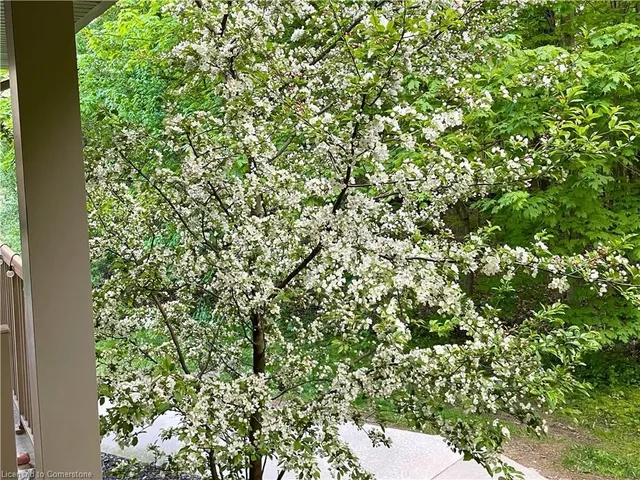 Additional image 20 of 255 Maitland St Unit 5F