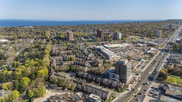 Additional image 47 of 12 Eli Shackleton Crt