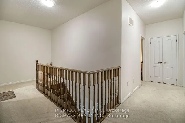 Additional image 20 of 22 Iguana Tr