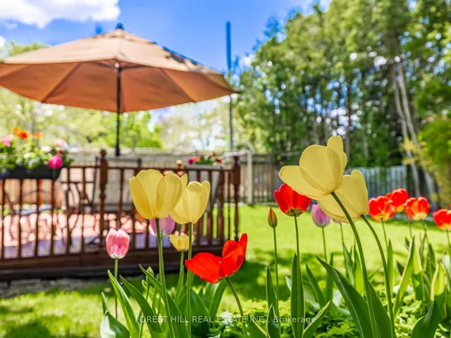 Additional image 44 of 5 Parmbelle Cres