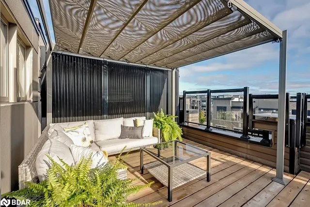 Additional image 29 of 3048 Silvertip Common Common