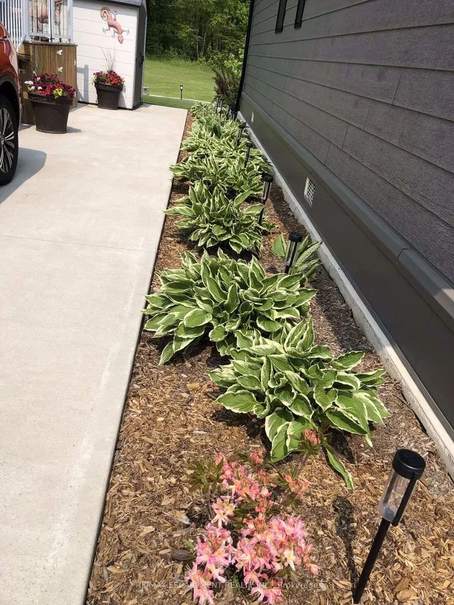 Additional image 43 of 4449 Milburough Line Unit 10 Cedar