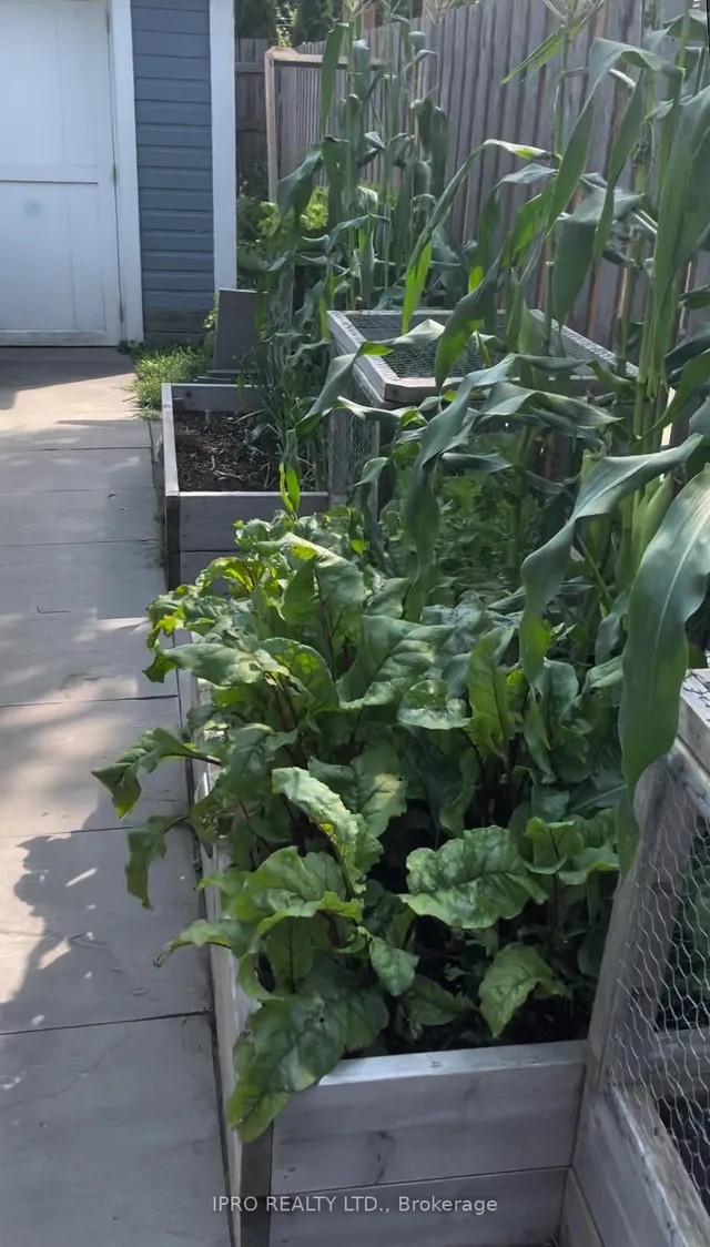 Additional image 37 of 5 Thyra Ave