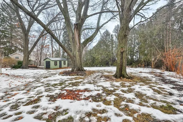 Additional image 38 of 306 SHOREVIEW Rd