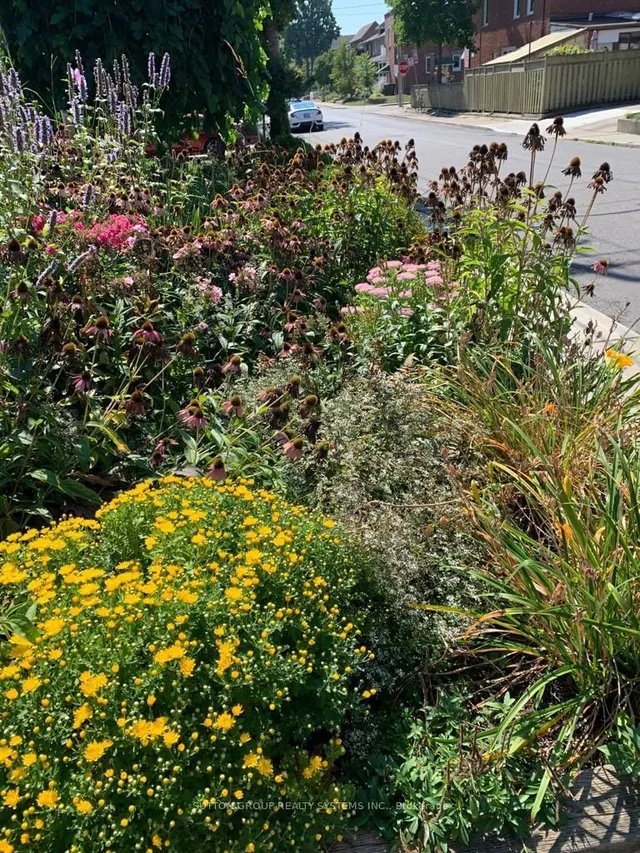 Additional image 41 of 217 Earlscourt Ave