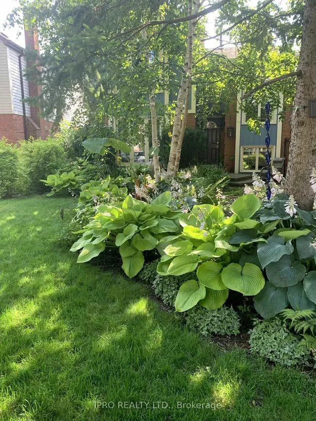 Additional image 2 of 41 Marchmount Cres