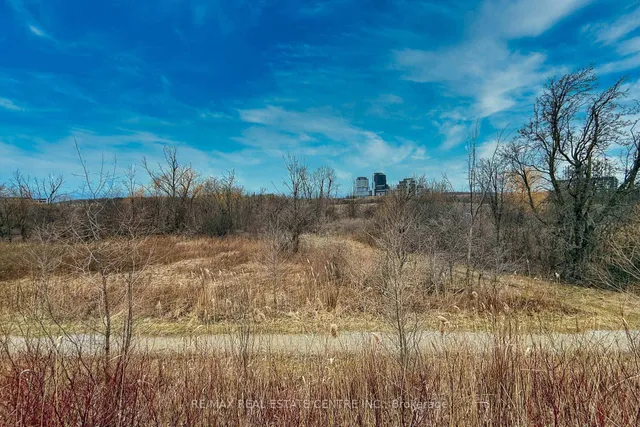 Additional image 36 of 225 Fowley Dr