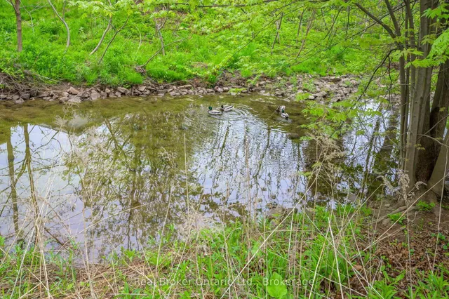 Additional image 43 of 615 Sheraton Rd