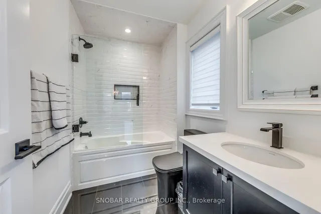 Additional image 18 of 18 Chimney Swift Crt