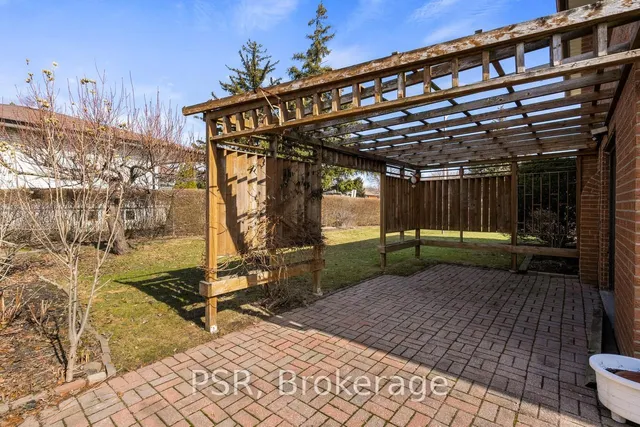 Additional image 5 of 1197 Greyowl Pt