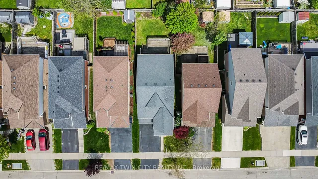 Additional image 41 of 74 Blue Lace Cres