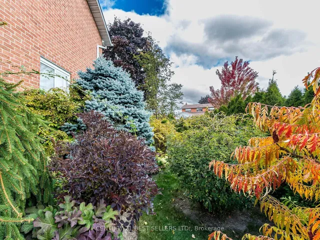 Additional image 36 of 4172 Rayfield Crt