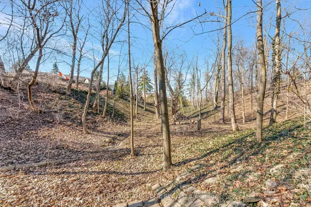 Additional image 37 of 24 Trevor Dr