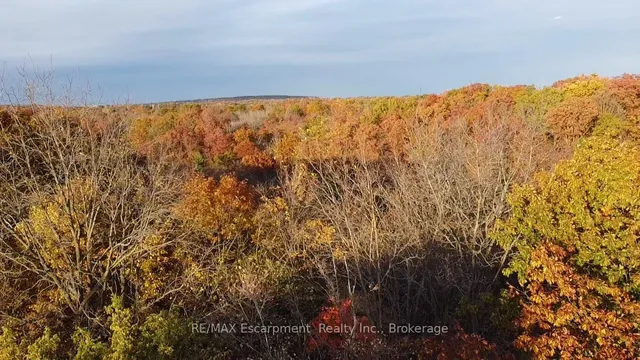 Additional image 48 of 1517 Norwood Ave