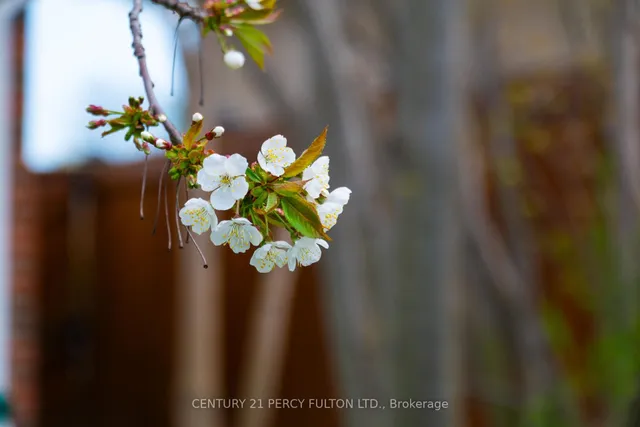 Additional image 3 of 52 Epsom Downs Dr