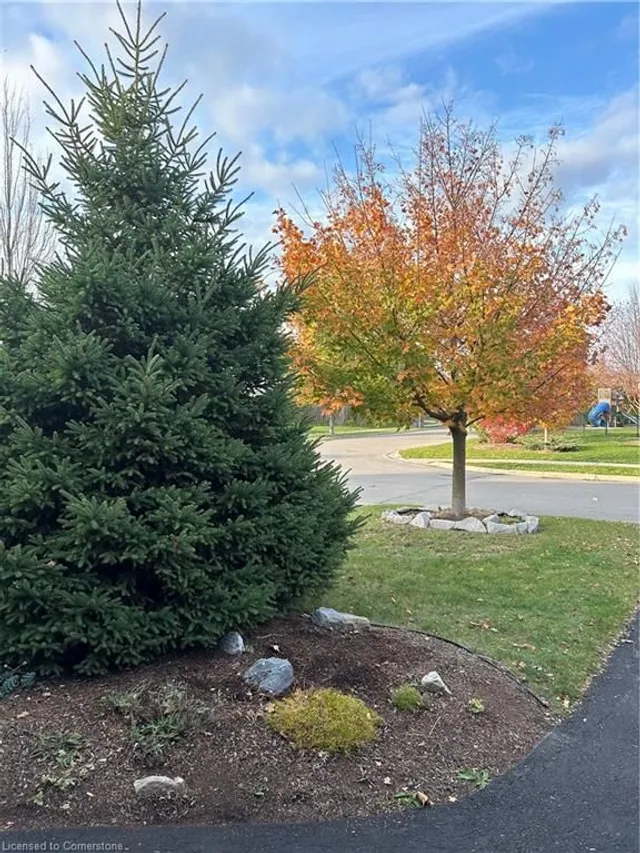 Additional image 19 of 73 Rosebury Way