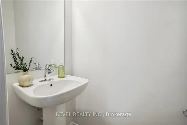 Additional image 10 of 3038 Blacktusk Common