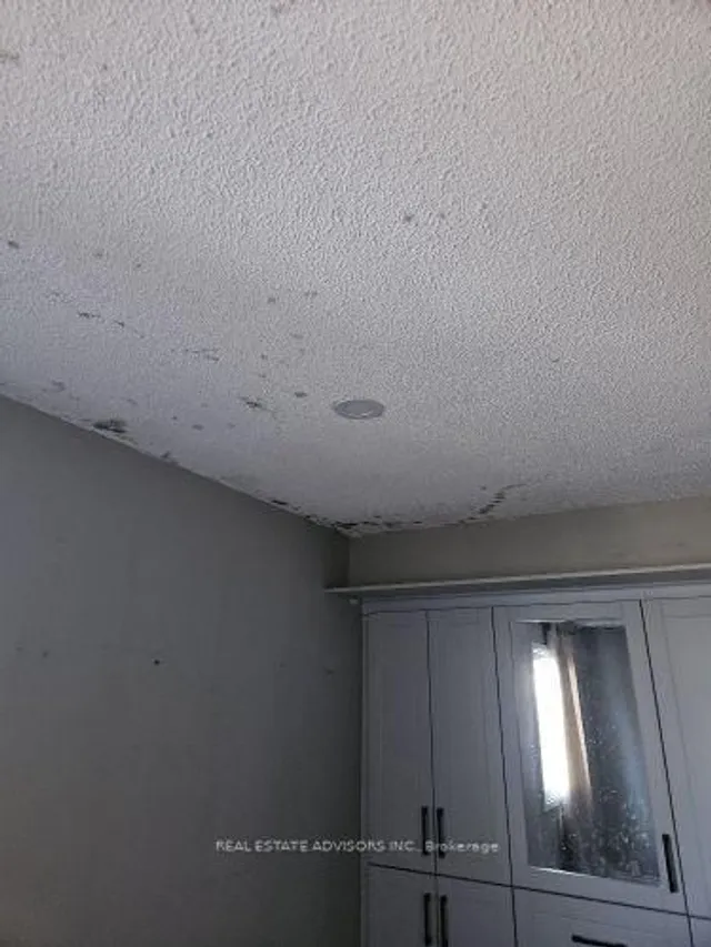 Additional image 17 of 19 Horseshoe Crt