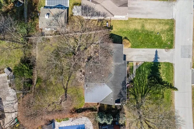 Additional image 48 of 246 Albion Ave