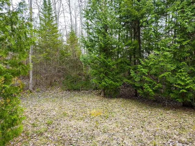 Additional image 31 of 64 Thompson Ave