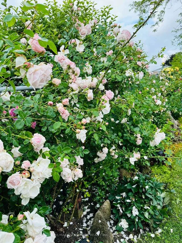 Additional image 46 of 19 Normajean Ave