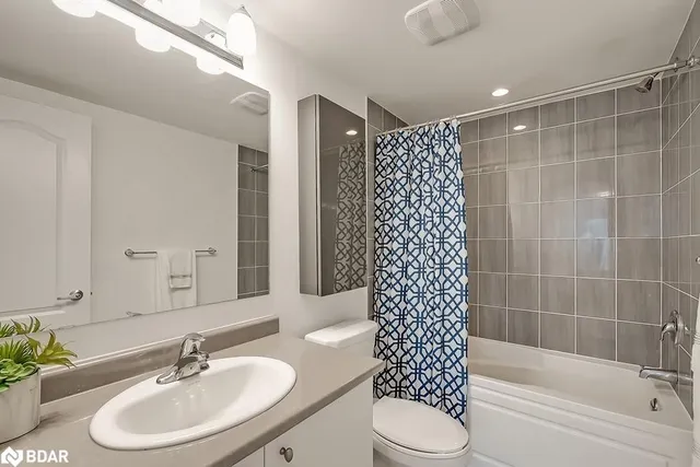 Additional image 22 of 3048 Silvertip Common Common