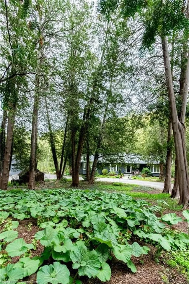 Additional image 6 of 6087 Cedar Springs Rd