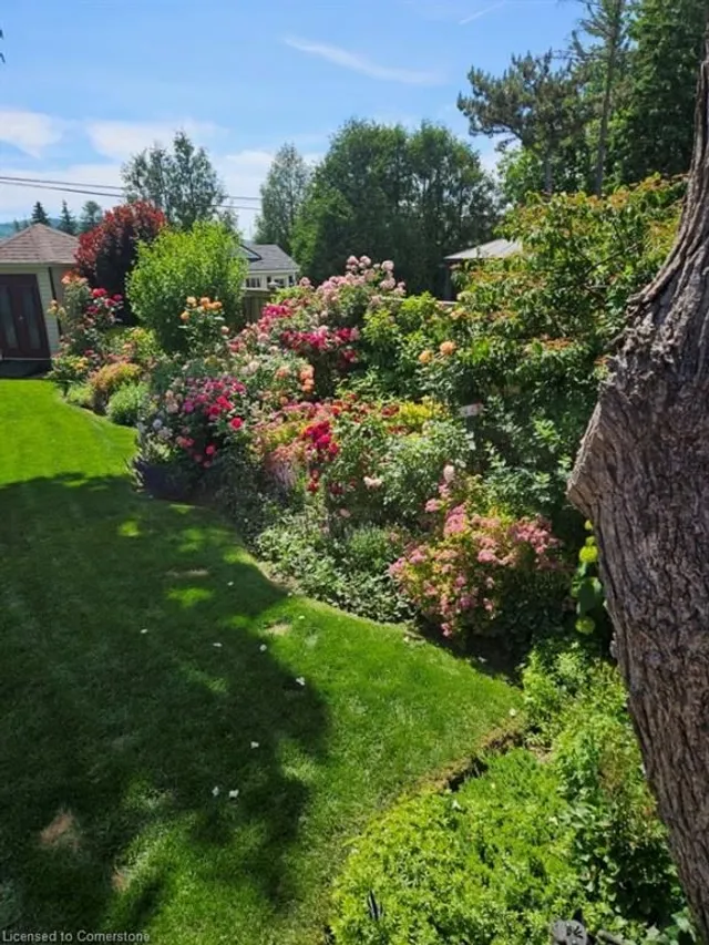 Additional image 48 of 342 Martin St