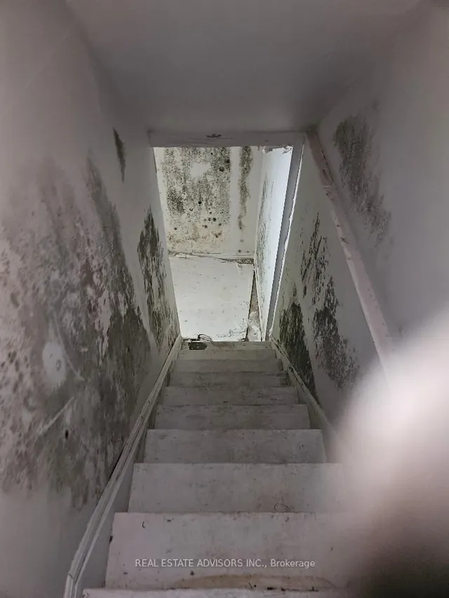 Additional image 11 of 19 Horseshoe Crt