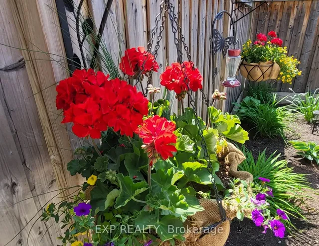 Additional image 29 of 4693 Kurtz Rd