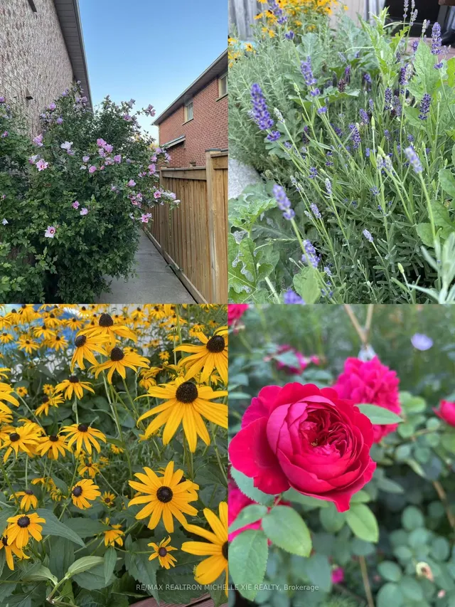 Additional image 41 of 41 Inverhuron Tr