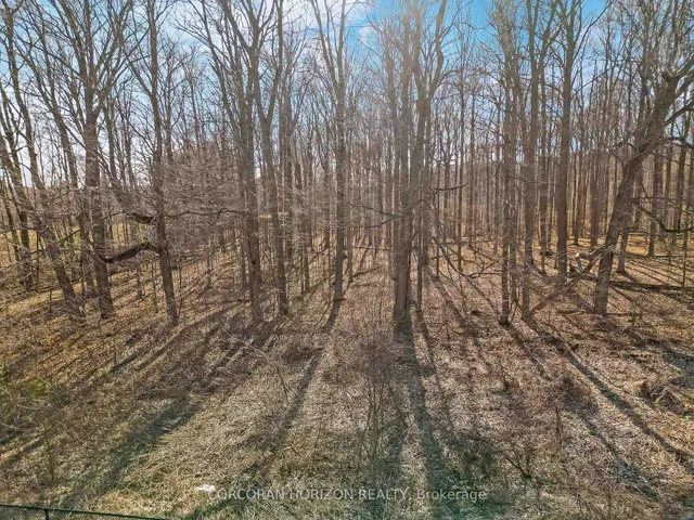 Additional image 47 of 269 Sedgewood St