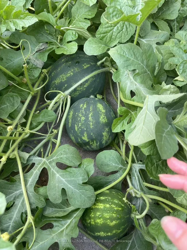 Additional image 40 of 41 Inverhuron Tr