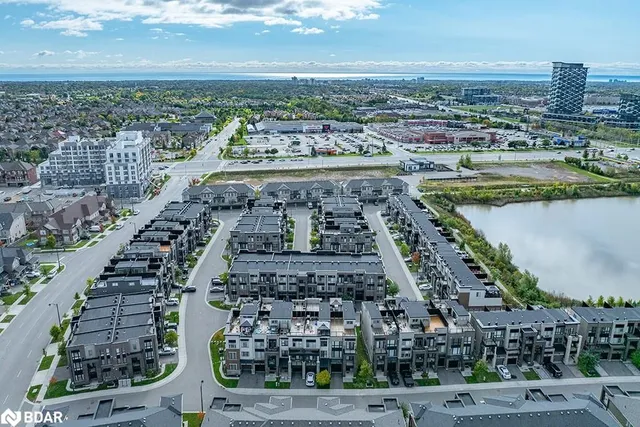 Additional image 38 of 3048 Silvertip Common Common