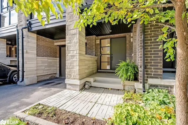 Additional image 3 of 3048 Silvertip Common Common